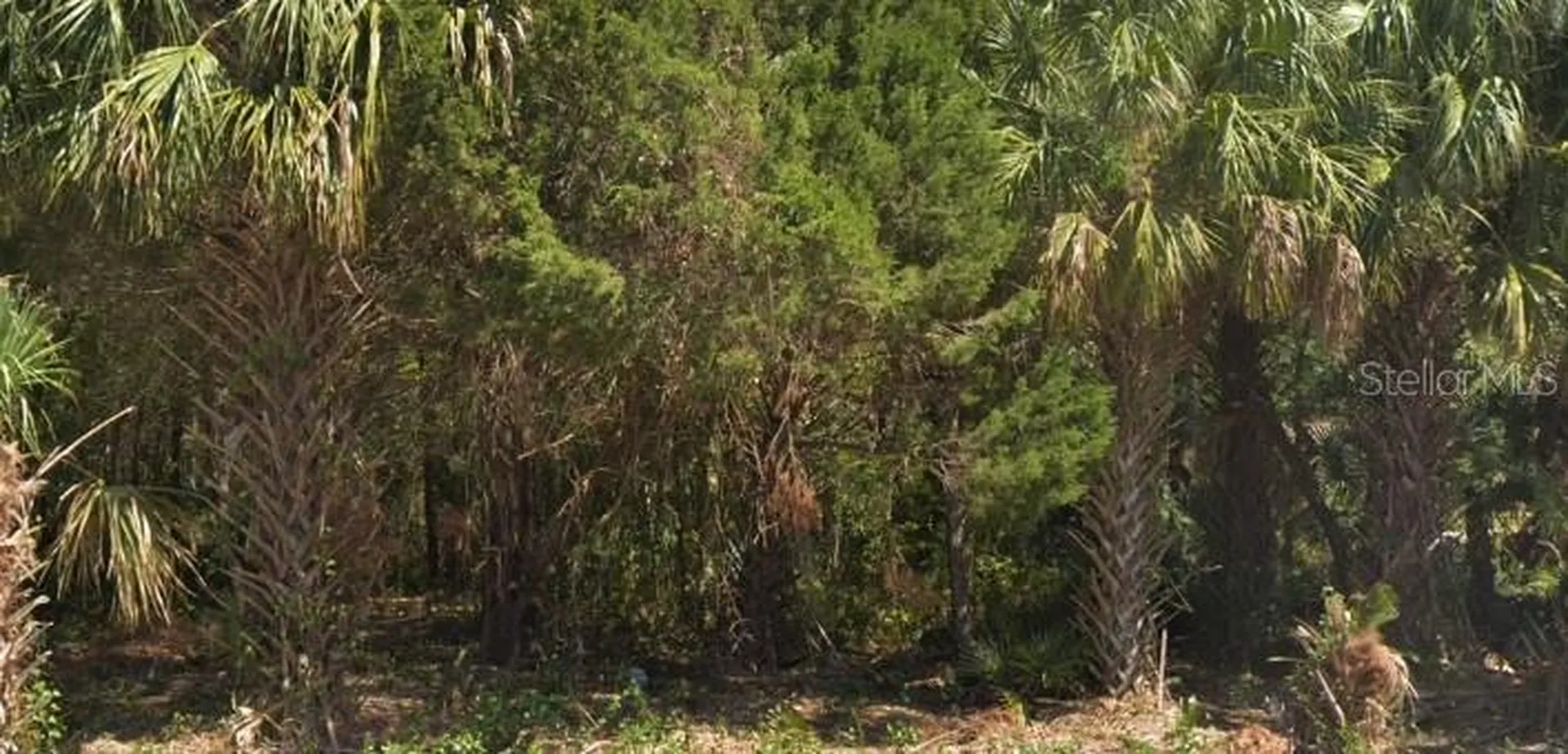 4030 S Kings Avenue Homosassa FL 34446