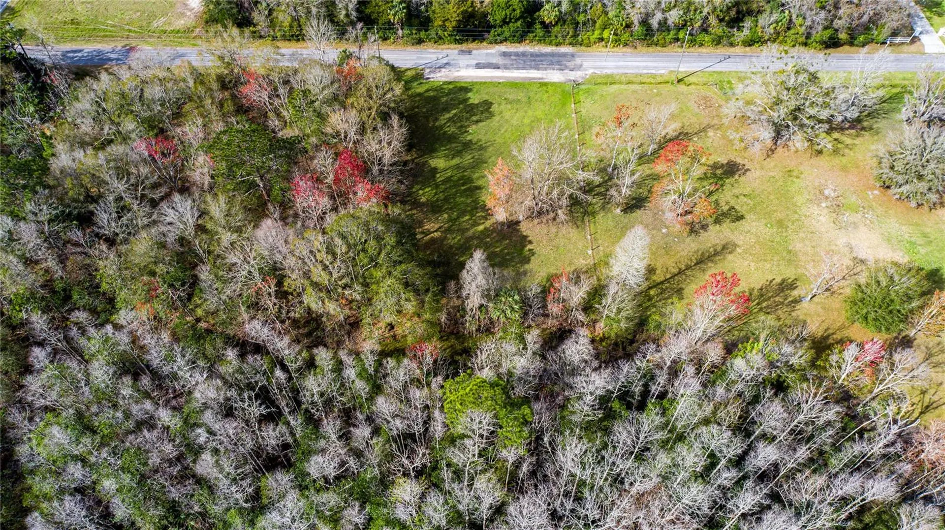 4925 S Morningside Terrace Homosassa FL 34446