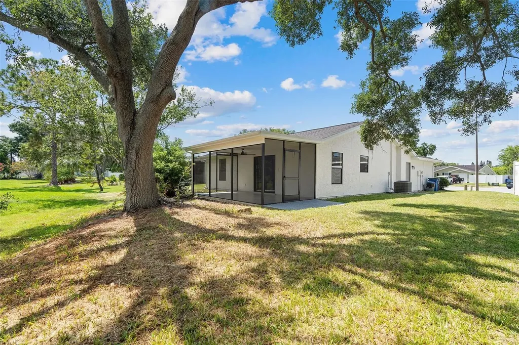 1206 Sawgrass Court Oldsmar FL 34677