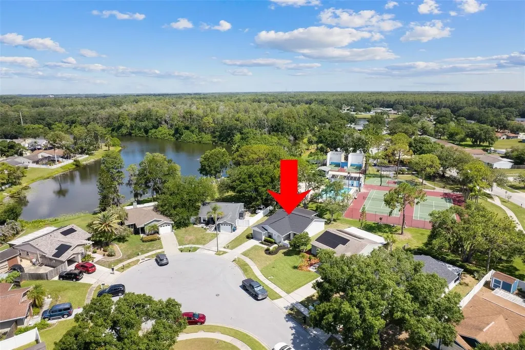 1206 Sawgrass Court Oldsmar FL 34677
