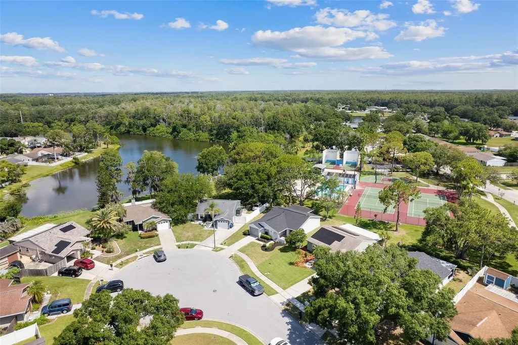 1206 Sawgrass Court Oldsmar FL 34677