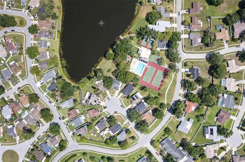 1206 Sawgrass Court Oldsmar FL 34677