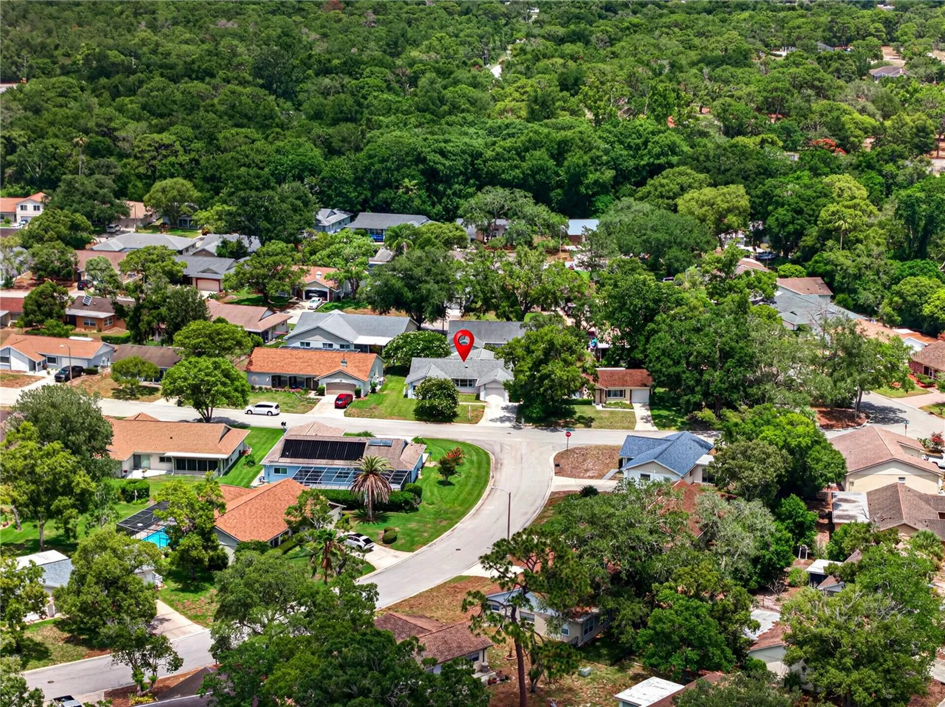 13004 Serpentine Drive Hudson FL 34667