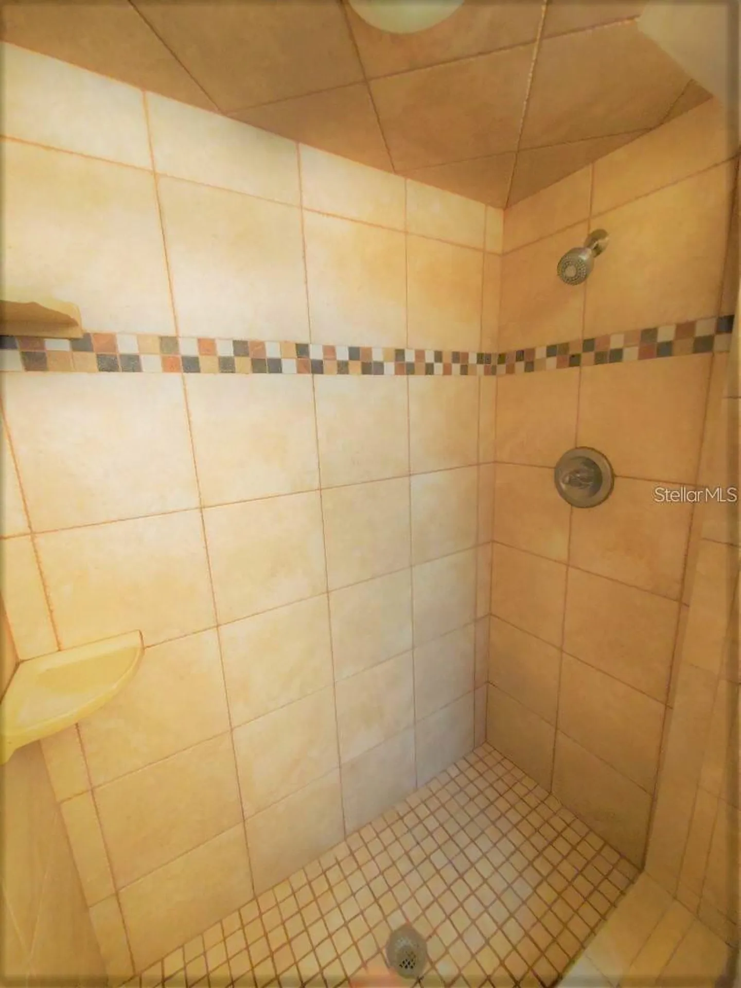 1637 Whitewood Drive Clearwater FL 33756
