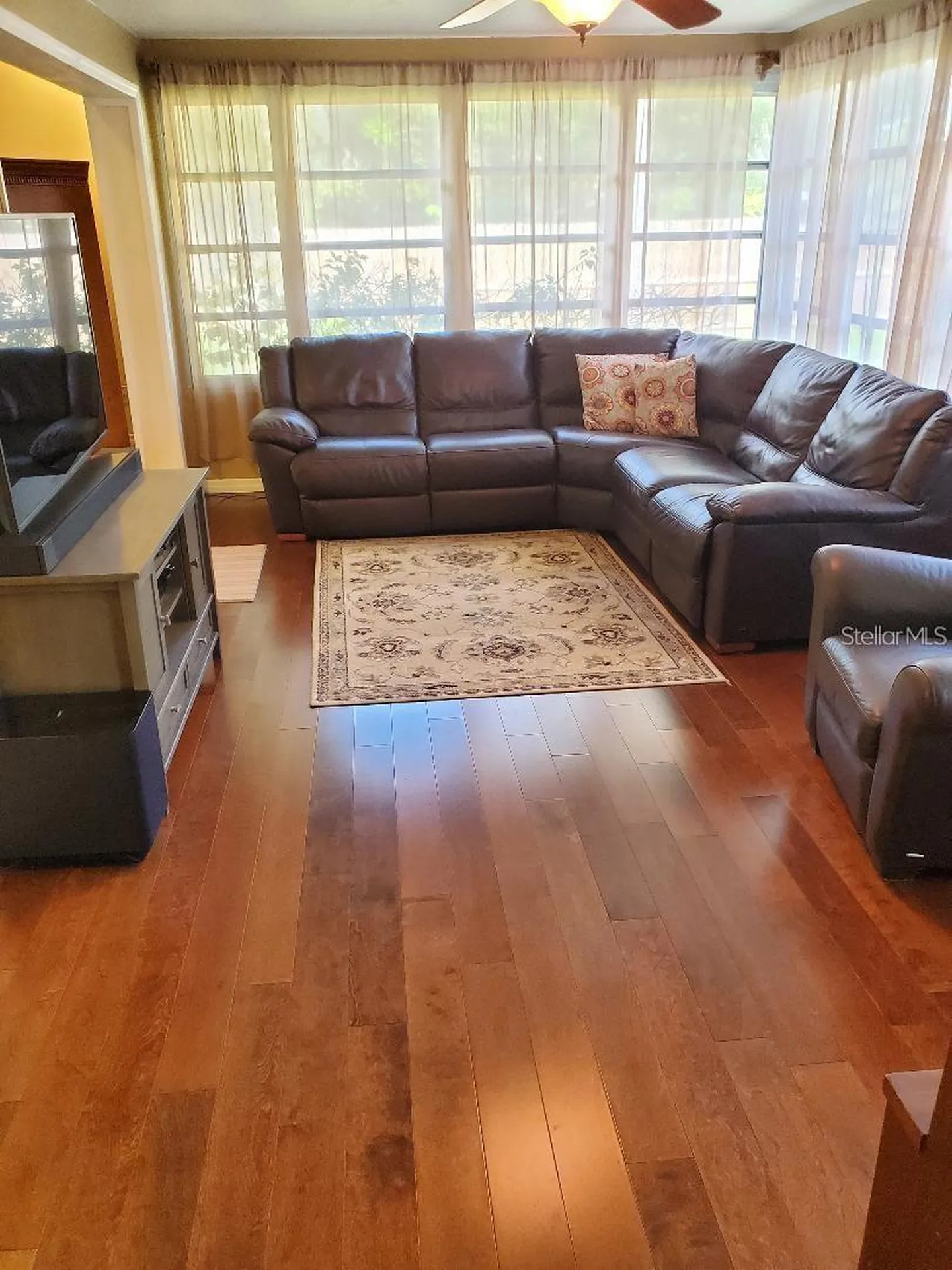 1637 Whitewood Drive Clearwater FL 33756