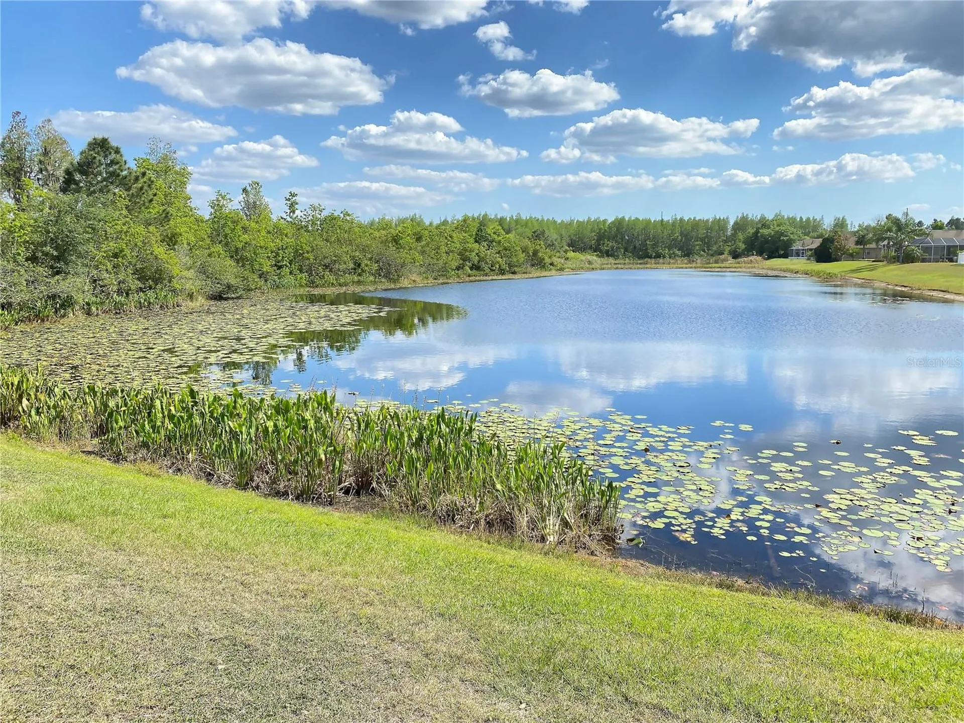 17449 Stinchar Drive Land O Lakes FL 34638