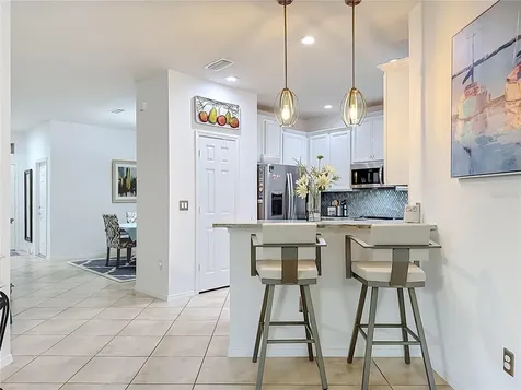 5539 Sunset Falls Drive Apollo Beach FL 33572