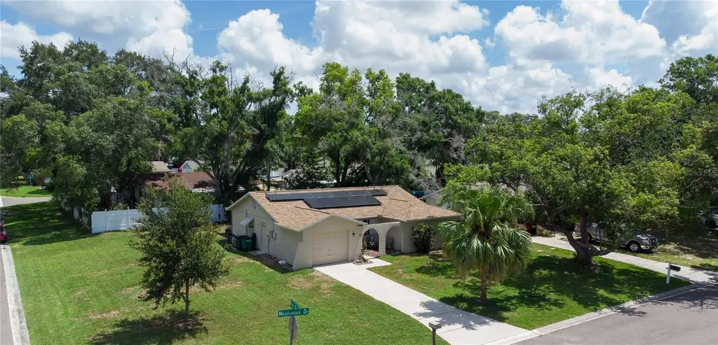 160 Meadowlark Drive Safety Harbor FL 34695