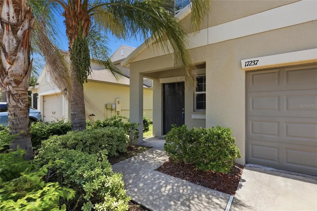 17237 White Mangrove Drive Wimauma FL 33598