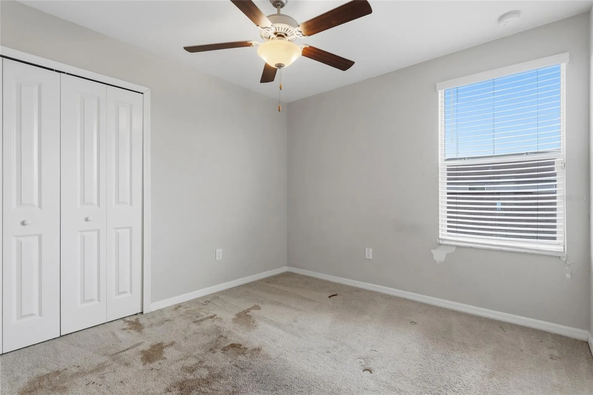 17237 White Mangrove Drive Wimauma FL 33598