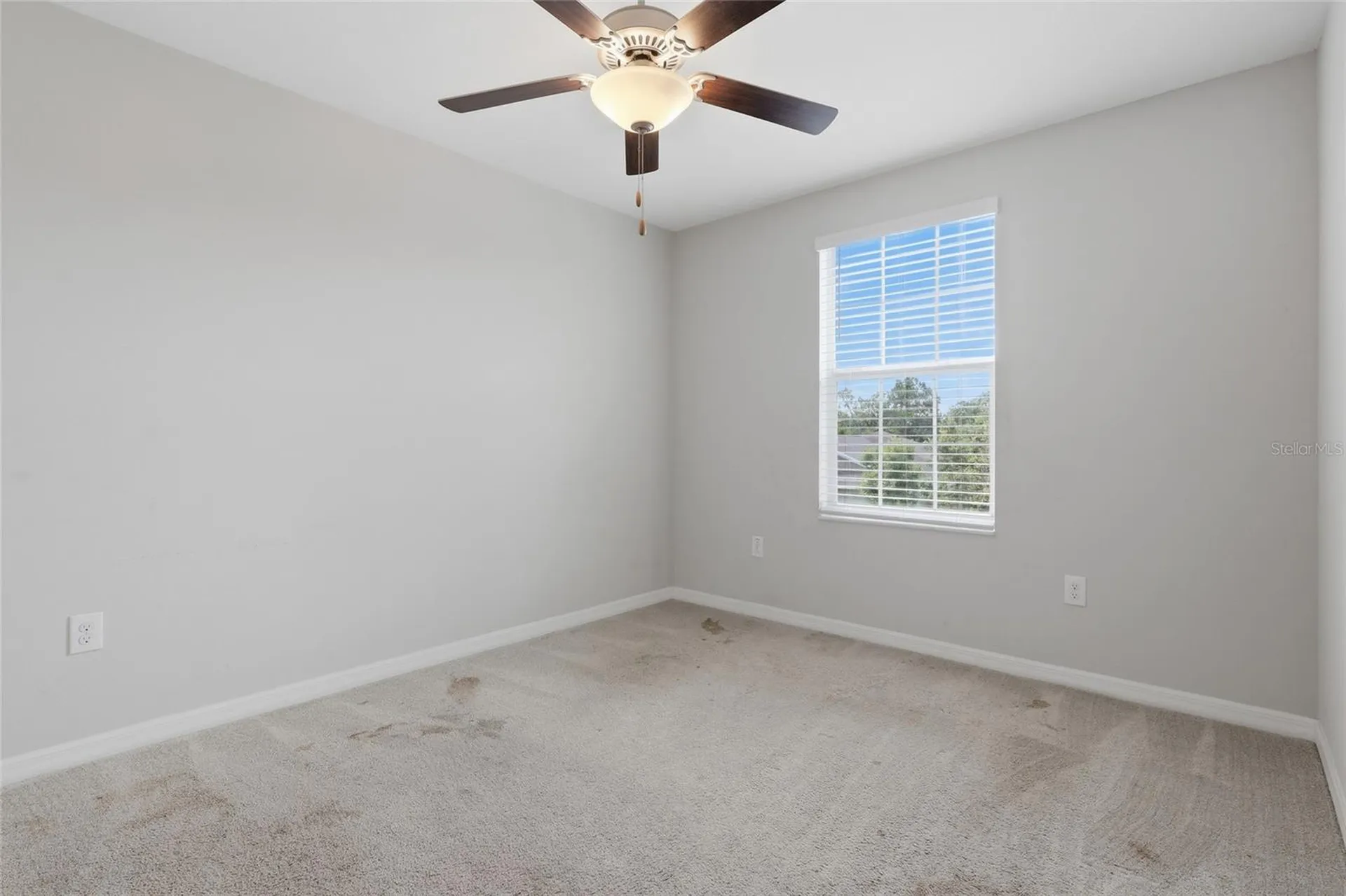 17237 White Mangrove Drive Wimauma FL 33598