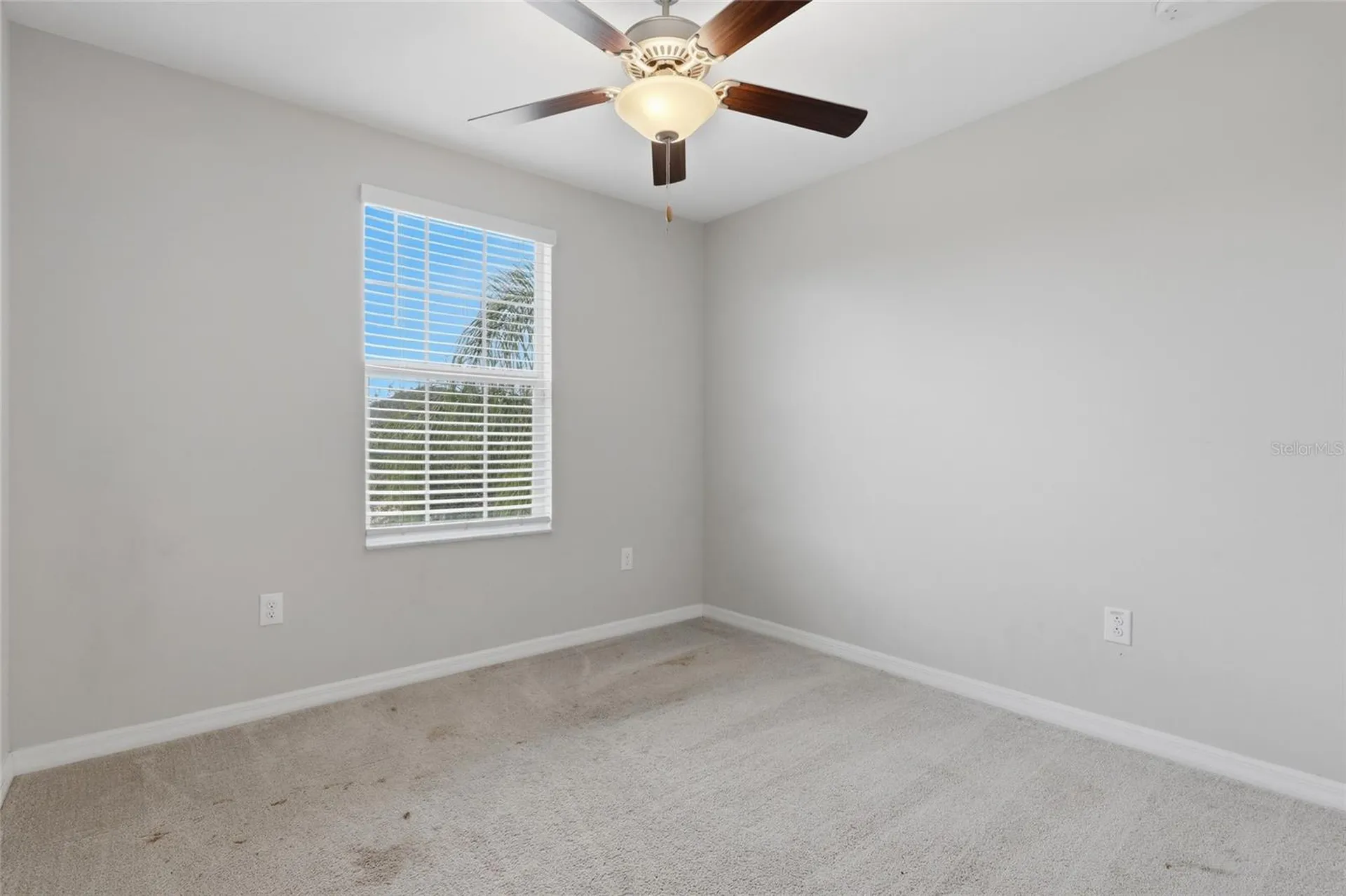 17237 White Mangrove Drive Wimauma FL 33598