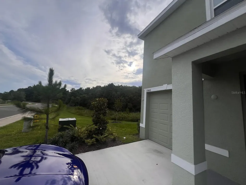 17461 Spanish Oak Loop Land O Lakes FL 34638