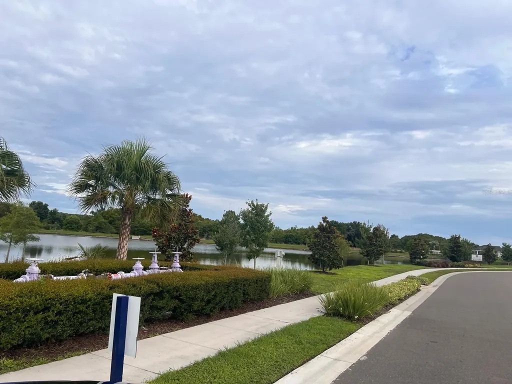 17461 Spanish Oak Loop Land O Lakes FL 34638