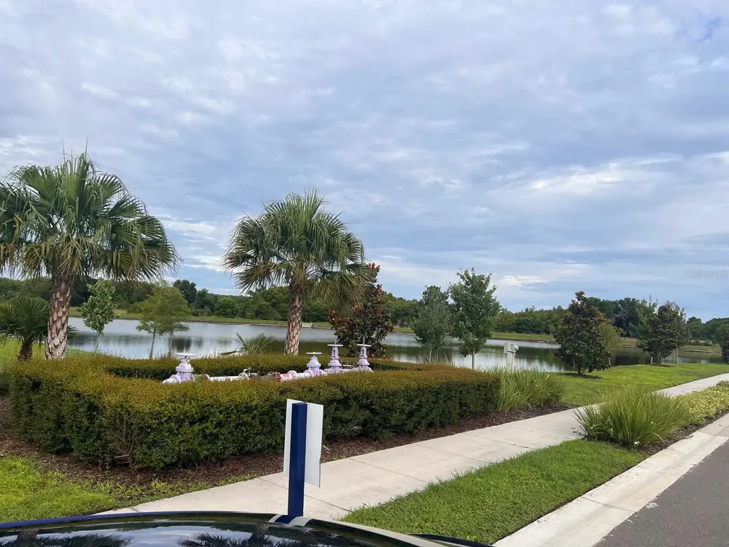 17461 Spanish Oak Loop Land O Lakes FL 34638