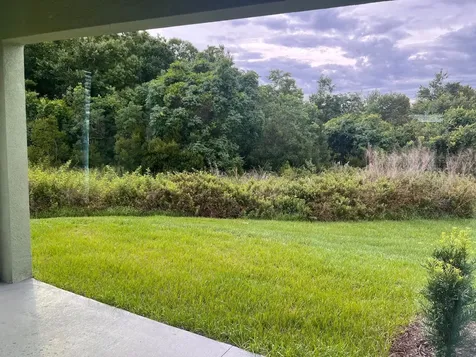 17461 Spanish Oak Loop Land O Lakes FL 34638