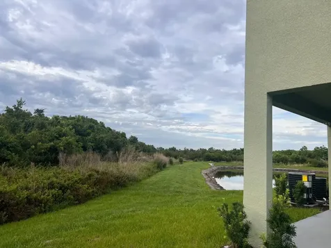17461 Spanish Oak Loop Land O Lakes FL 34638