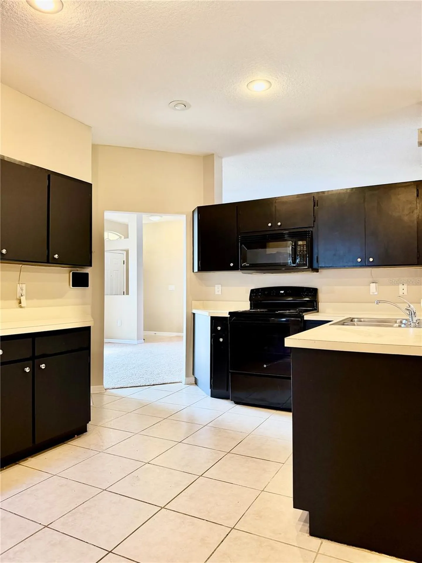 3415 Silver Meadow Way Plant City FL 33566