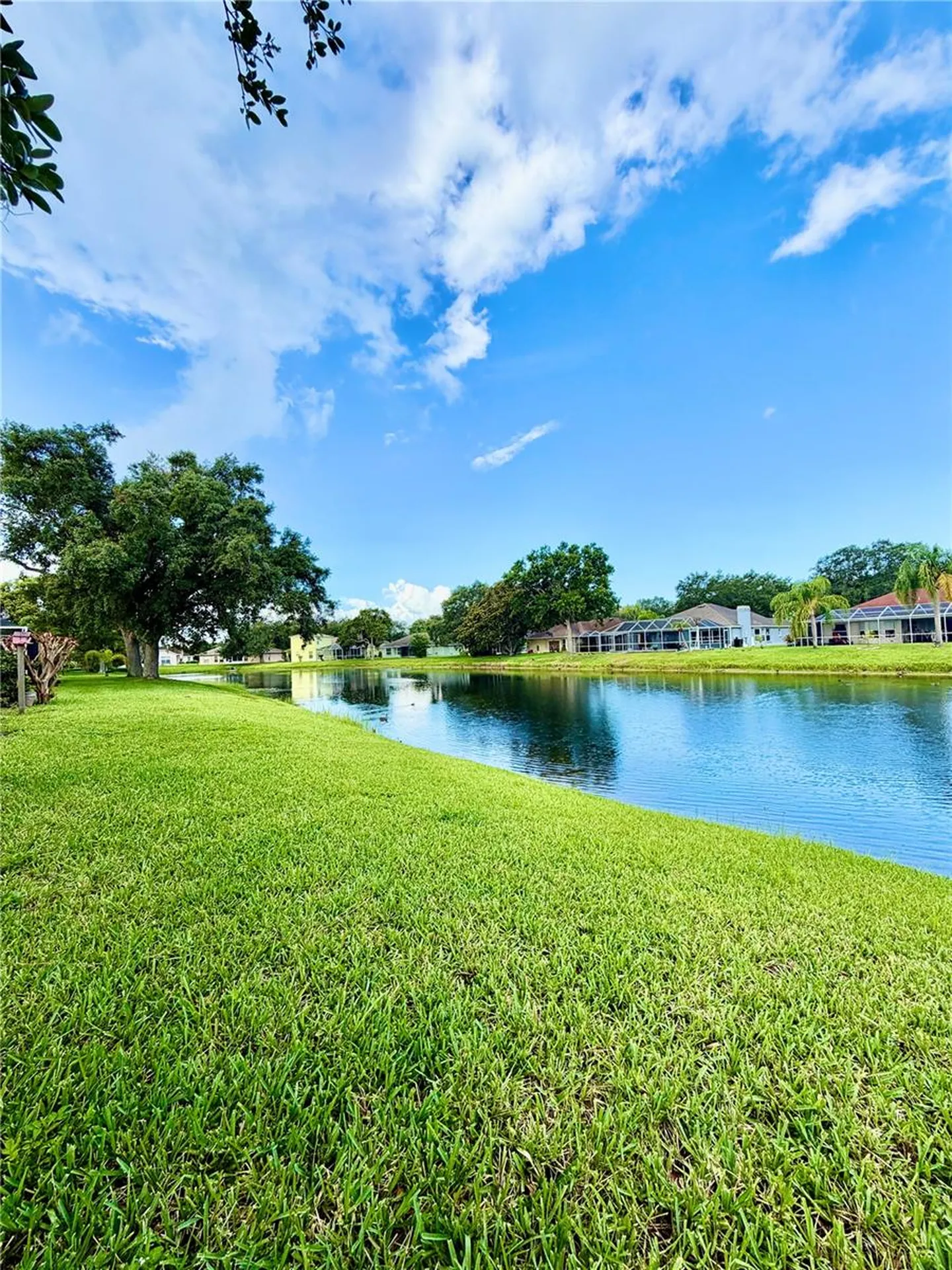 3415 Silver Meadow Way Plant City FL 33566