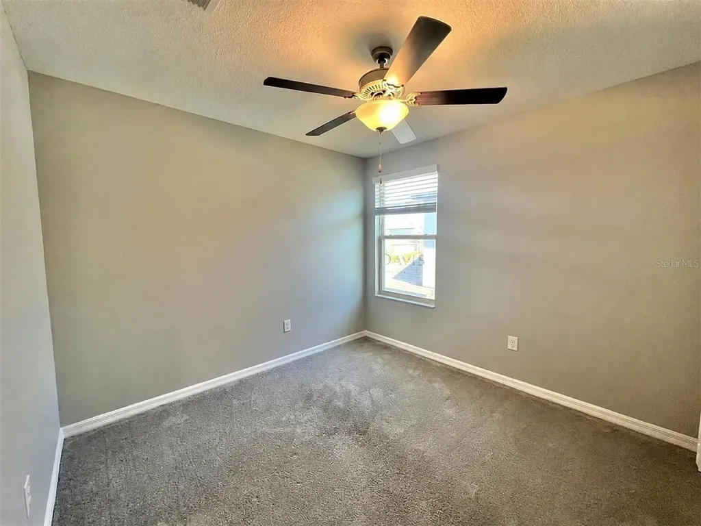 16717 Delia Street Wimauma FL 33598