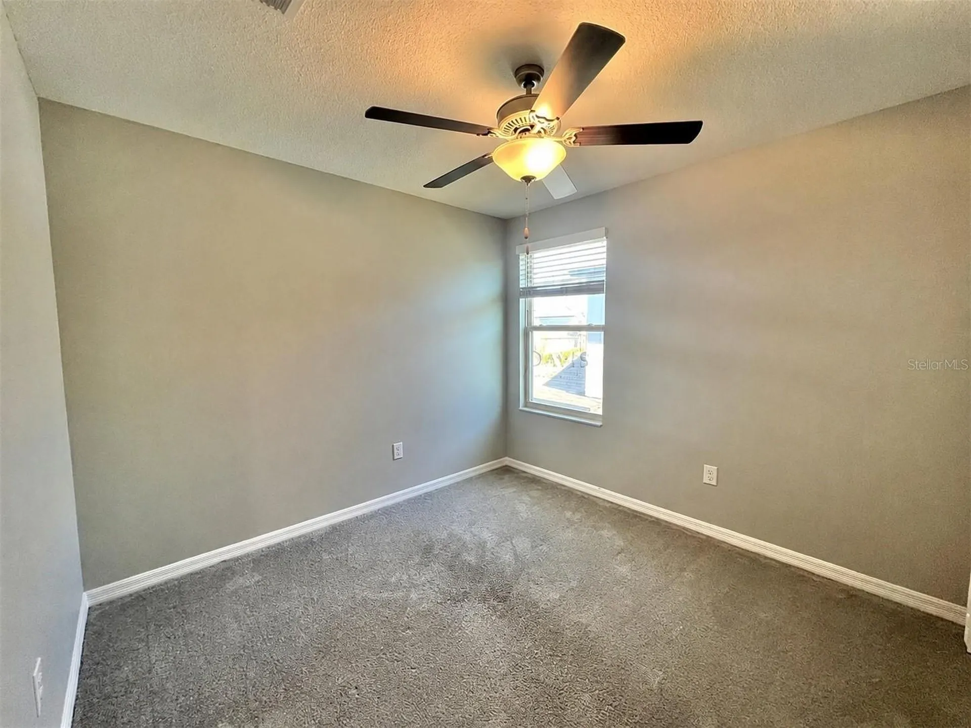 16717 Delia Street Wimauma FL 33598