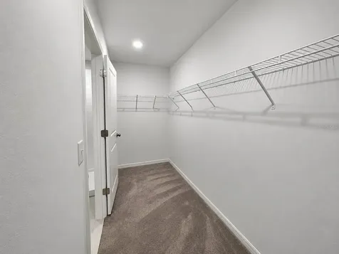 16717 Delia Street Wimauma FL 33598