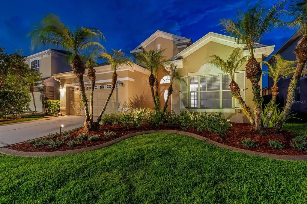 3553 Morgans Bluff Court Land O Lakes FL 34639