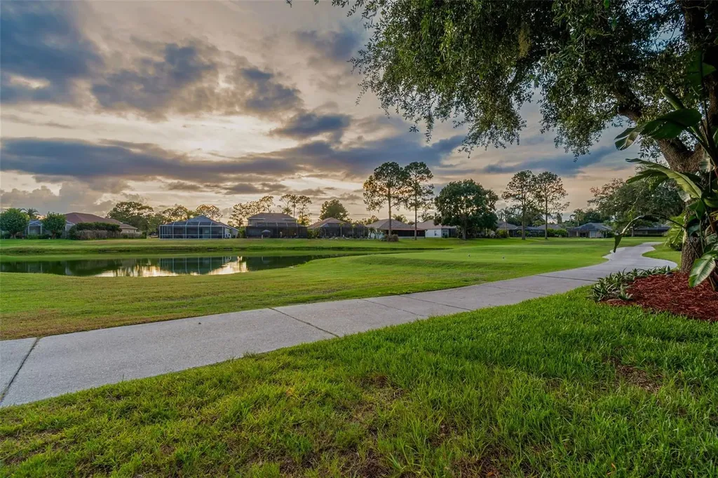 3553 Morgans Bluff Court Land O Lakes FL 34639