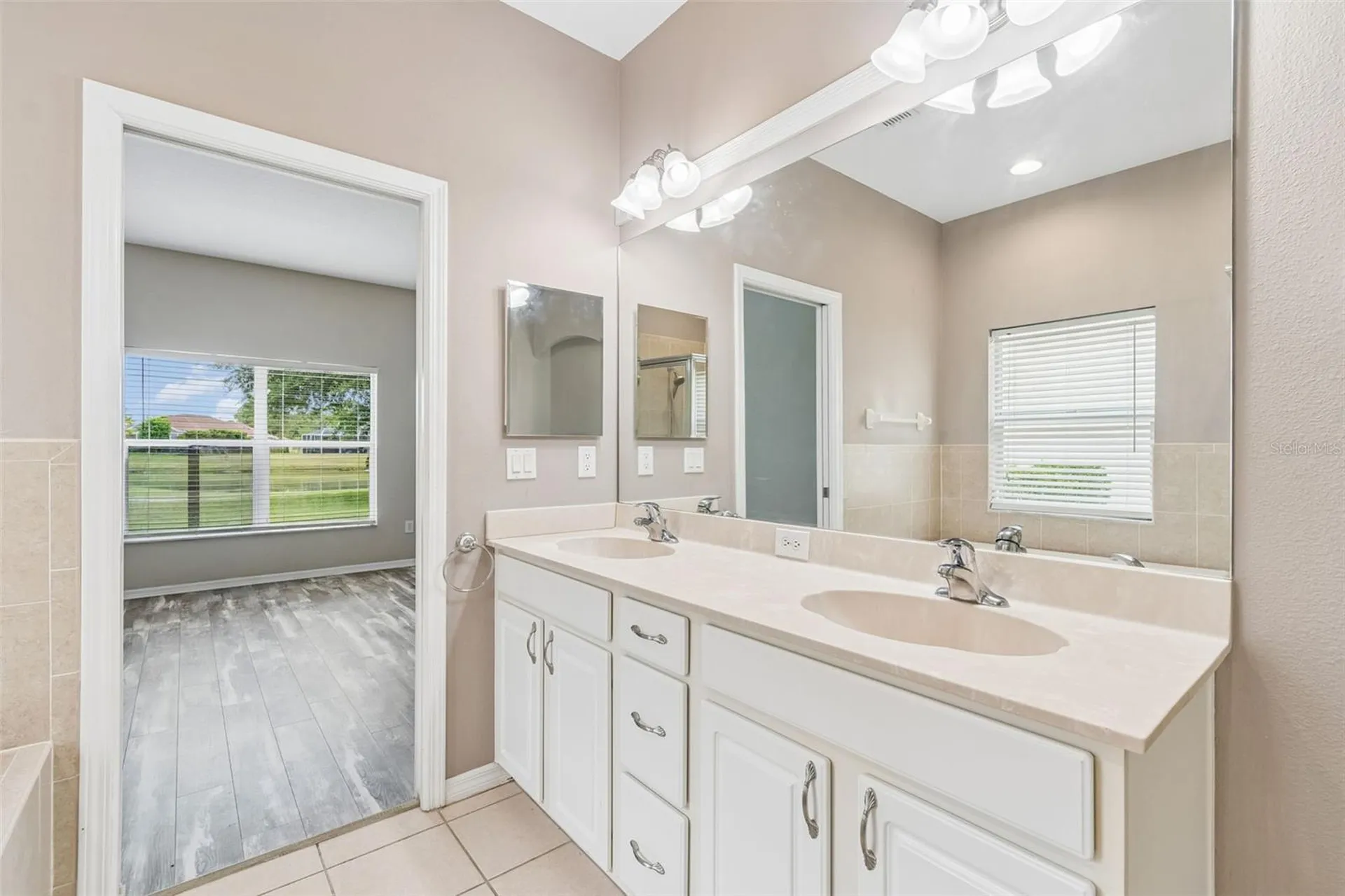 3553 Morgans Bluff Court Land O Lakes FL 34639