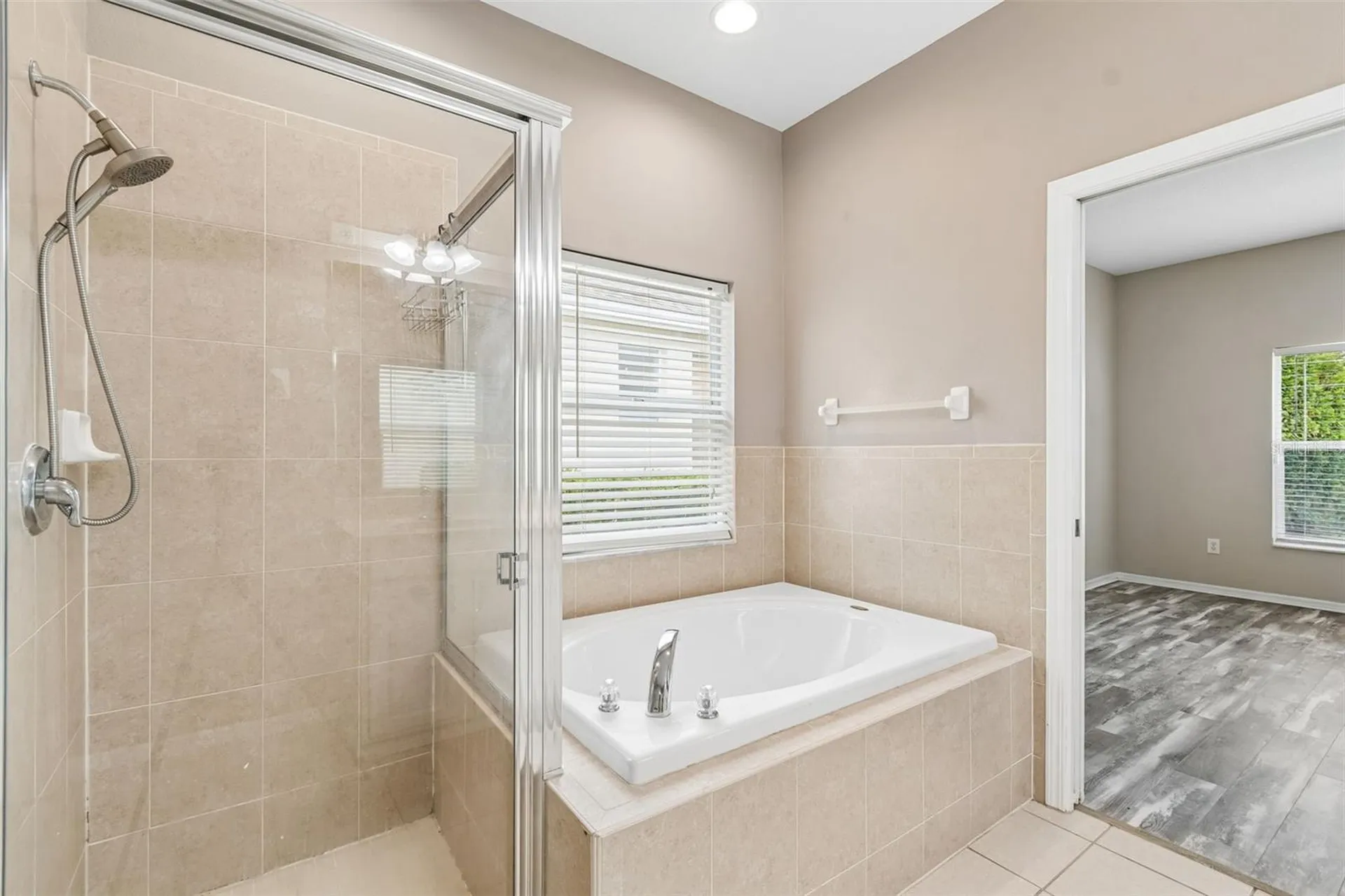 3553 Morgans Bluff Court Land O Lakes FL 34639