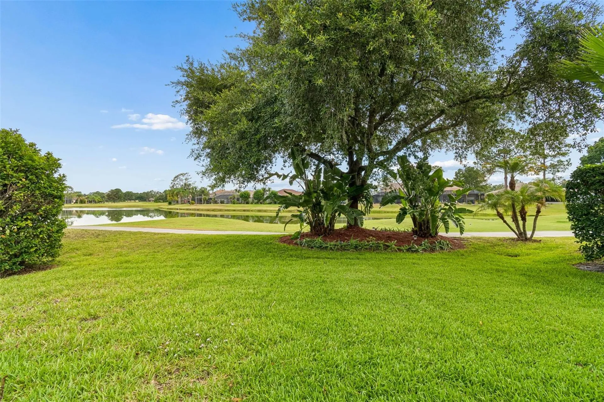 3553 Morgans Bluff Court Land O Lakes FL 34639