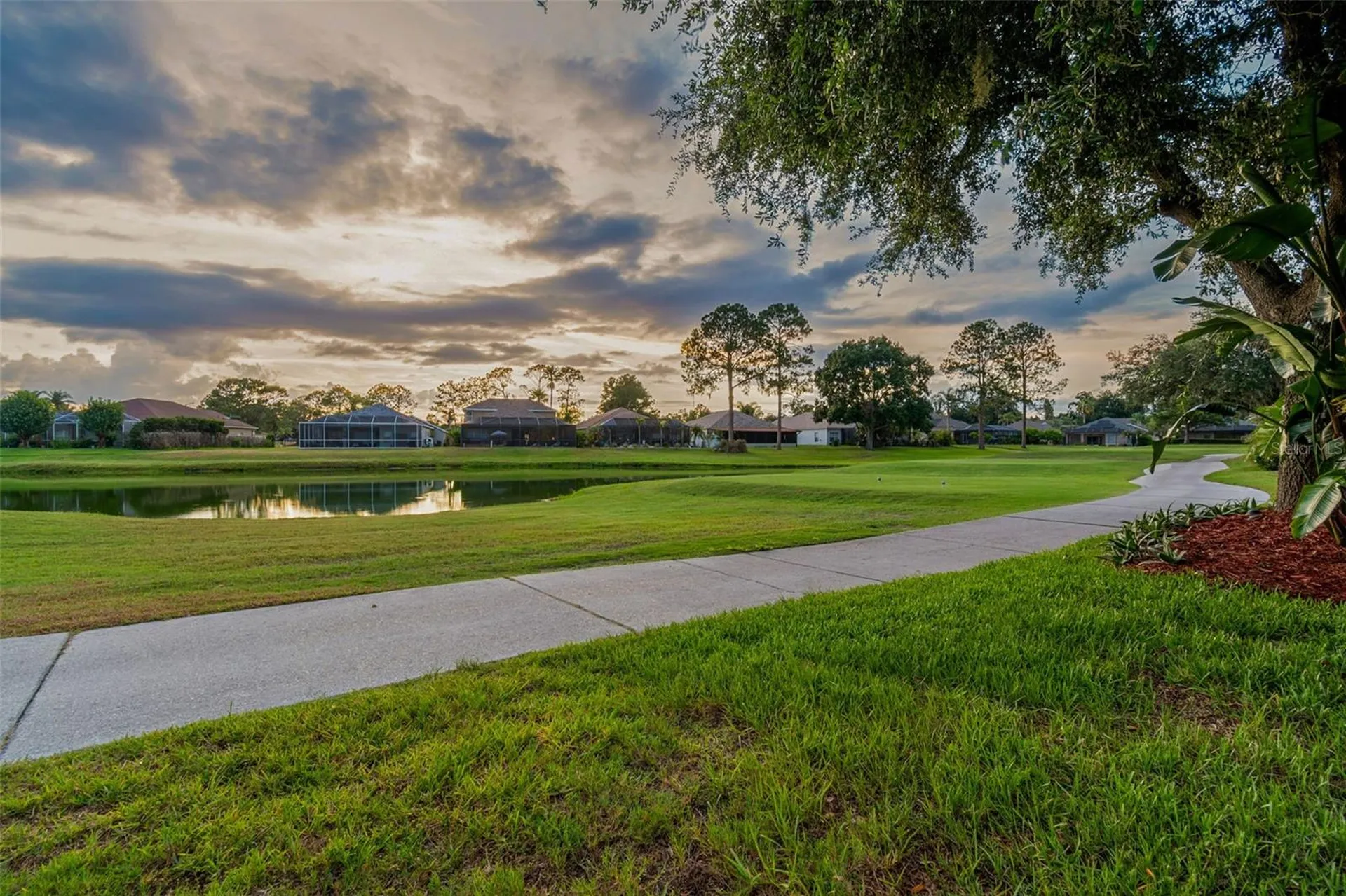 3553 Morgans Bluff Court Land O Lakes FL 34639