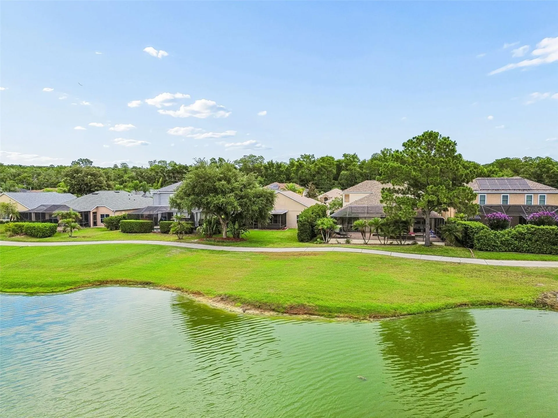 3553 Morgans Bluff Court Land O Lakes FL 34639