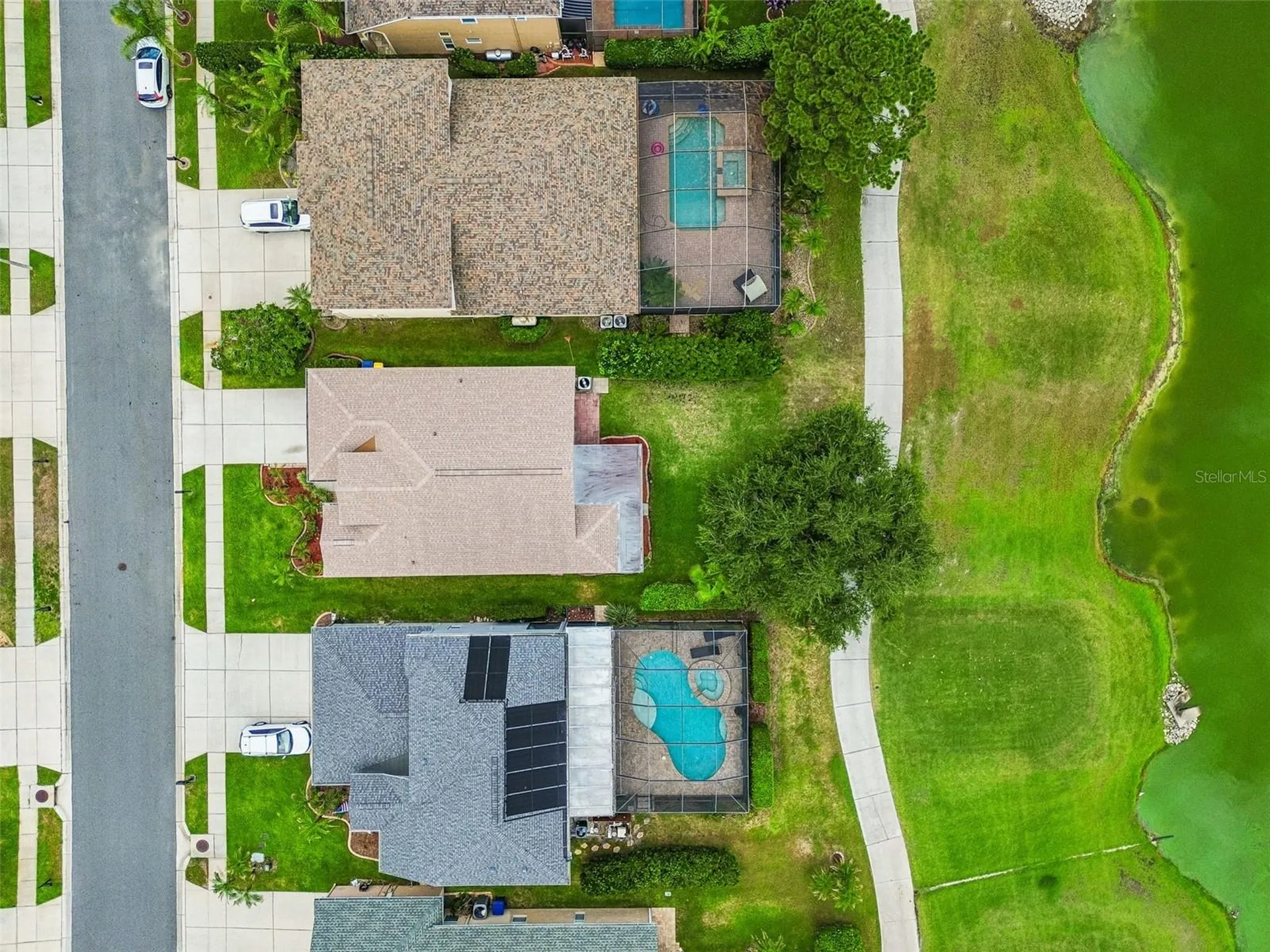 3553 Morgans Bluff Court Land O Lakes FL 34639