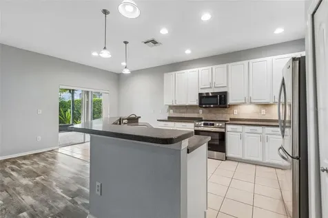 3553 Morgans Bluff Court Land O Lakes FL 34639