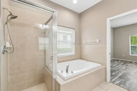 3553 Morgans Bluff Court Land O Lakes FL 34639