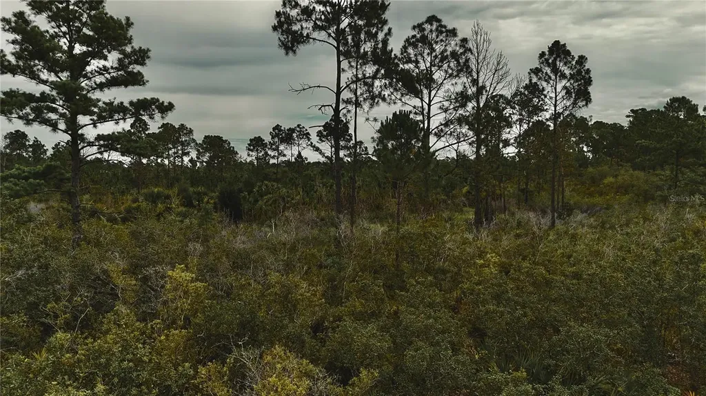 Lots 10, 11, 12, 13 Adams Beach Road Perry FL 32348