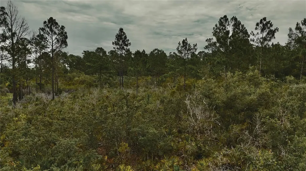 Lots 10, 11, 12, 13 Adams Beach Road Perry FL 32348