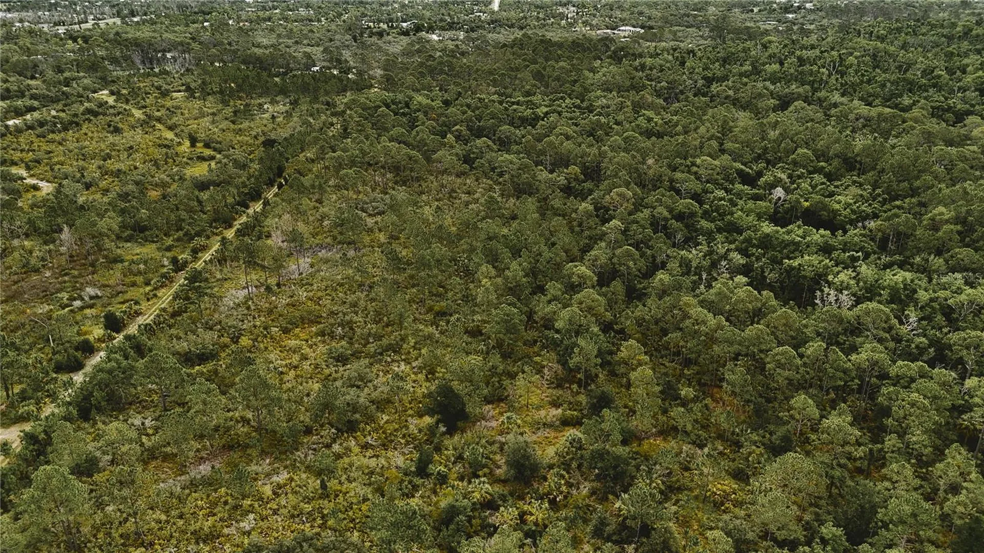 Lots 10, 11, 12, 13 Adams Beach Road Perry FL 32348