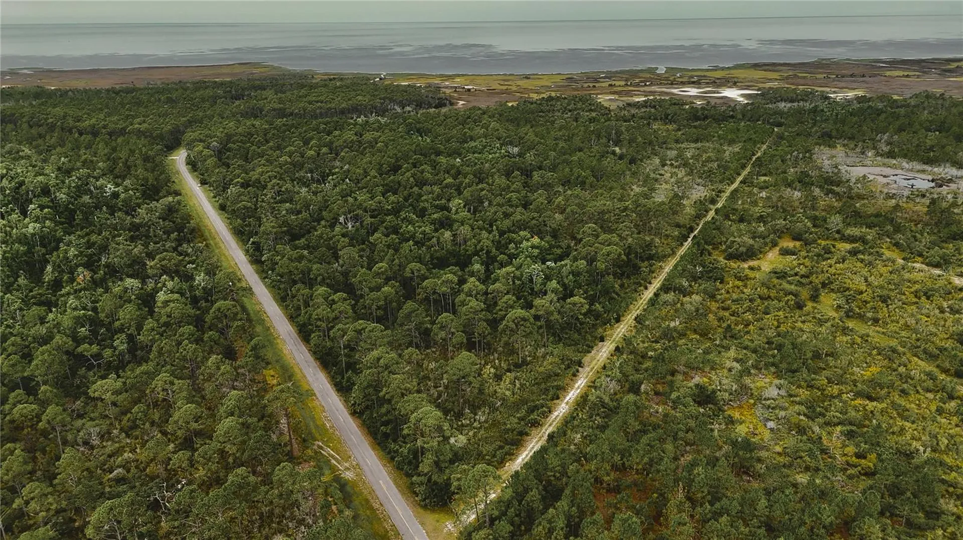 Lots 10, 11, 12, 13 Adams Beach Road Perry FL 32348