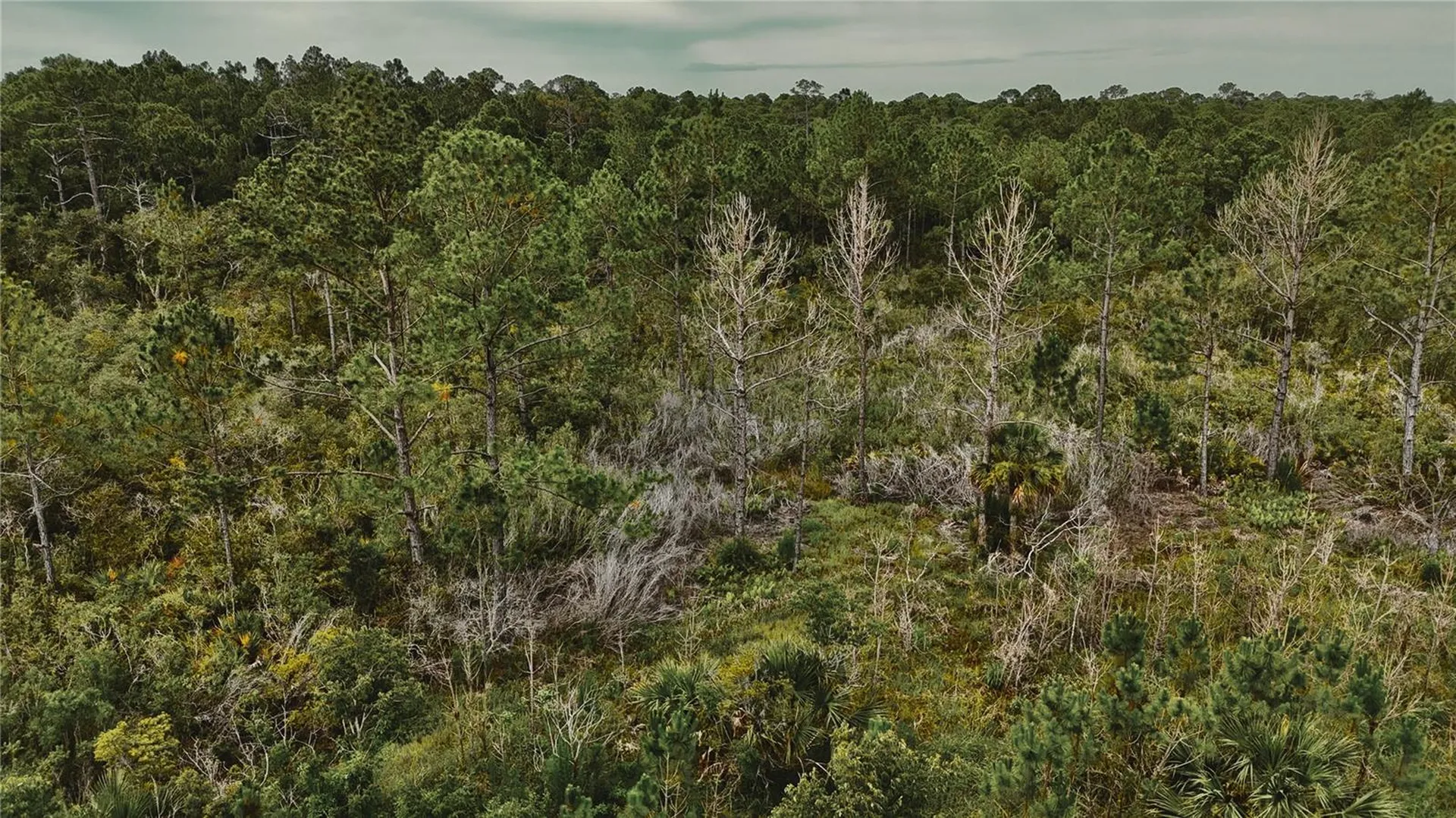 Lots 10, 11, 12, 13 Adams Beach Road Perry FL 32348