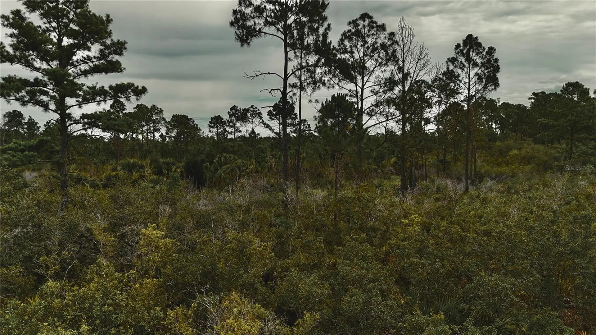 Lots 10, 11, 12, 13 Adams Beach Road Perry FL 32348