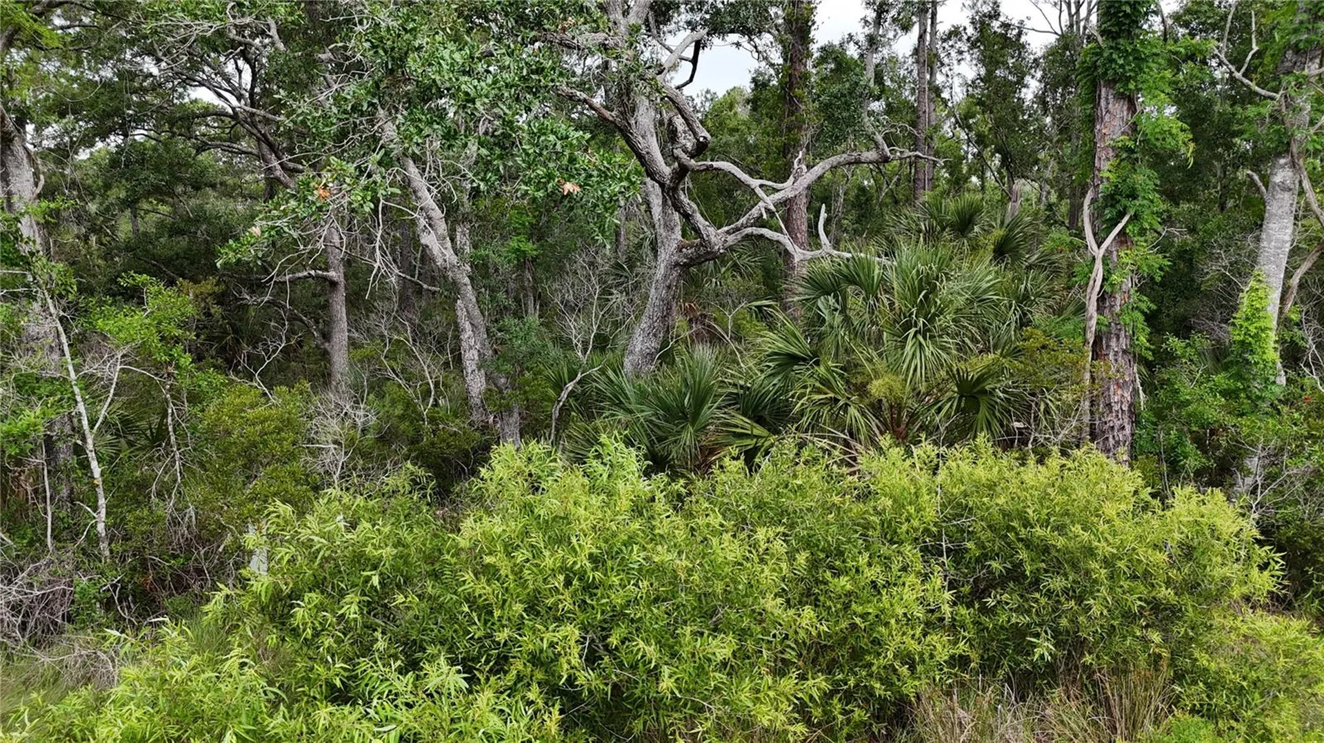 Lots 10, 11, 12, 13 Adams Beach Road Perry FL 32348