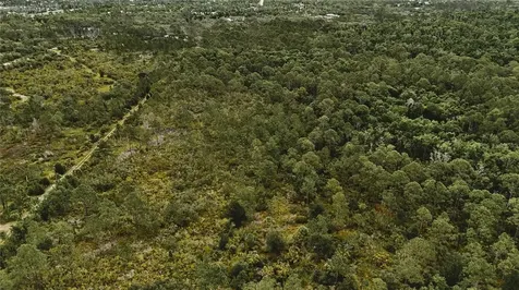 Lots 10, 11, 12, 13 Adams Beach Road Perry FL 32348