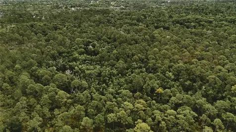 Lots 10, 11, 12, 13 Adams Beach Road Perry FL 32348