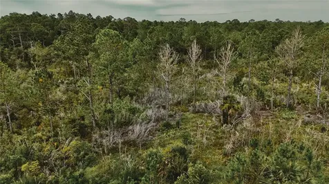Lots 10, 11, 12, 13 Adams Beach Road Perry FL 32348