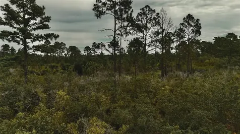 Lots 10, 11, 12, 13 Adams Beach Road Perry FL 32348
