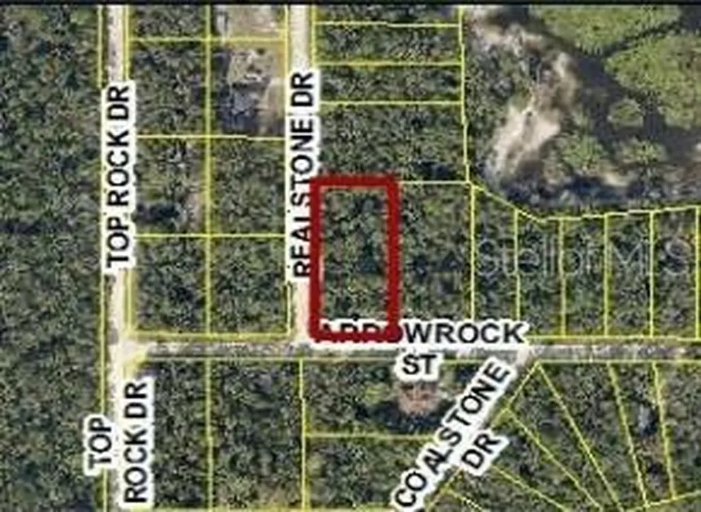 9028 Realstone Drive Webster FL 33597