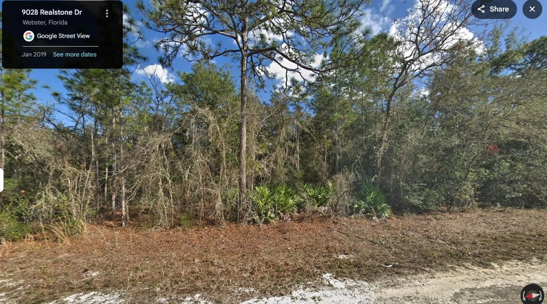 9028 Realstone Drive Webster FL 33597