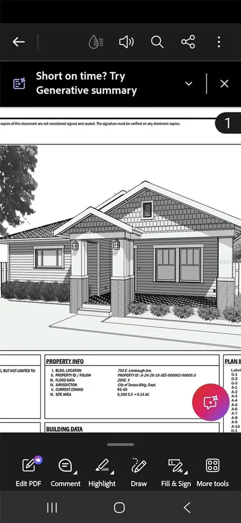 704 E Orchid Avenue Tampa FL 33612